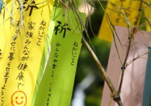 七夕(7月)